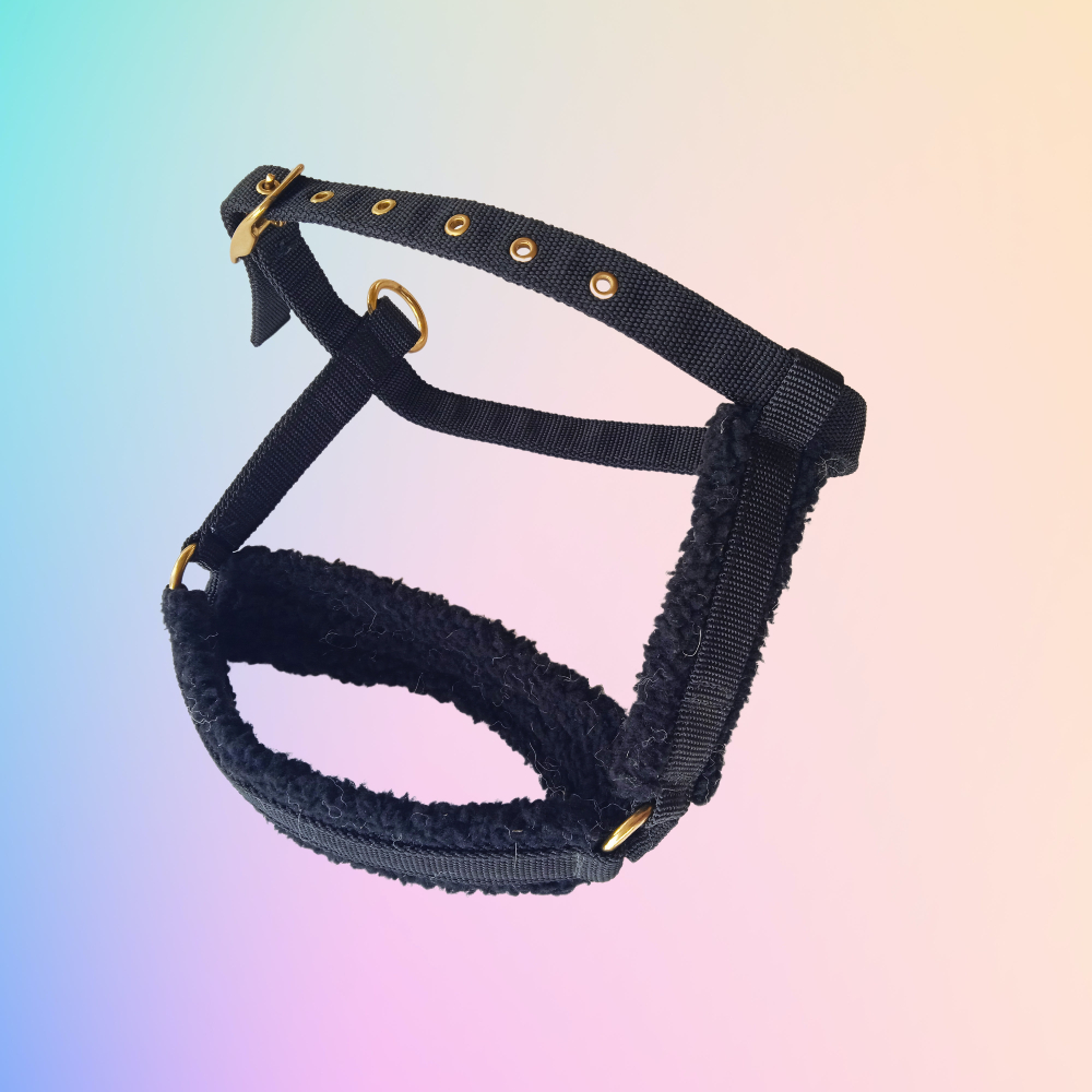 Harnesses